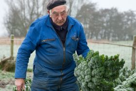 Top-4: lekkerste boerenkool